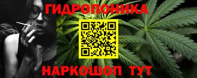 ECSTASY Гай