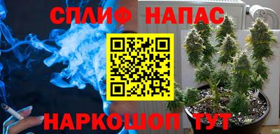a pvp Гатчина