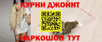 a pvp Гатчина