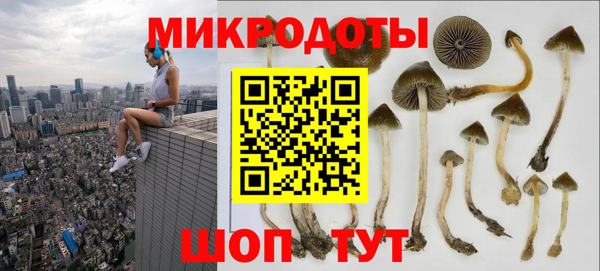 Псилоцибиновые грибы мухоморы  Вход с VPN  Нижнекамск 