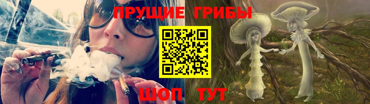 Псилоцибиновые грибы мицелий Нижнекамск